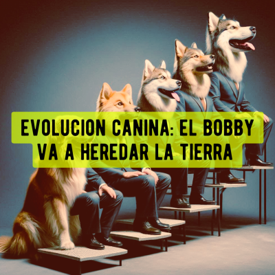 episode Evolución canina: El Bobby va a heredar la Tierra artwork