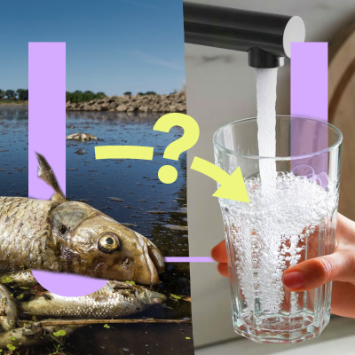 episode 765. Raakt ons schone drinkwater op? artwork