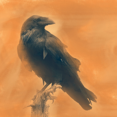 episode What the trees know / kîkwây mîtosak ê-kiskêyihtahkik artwork