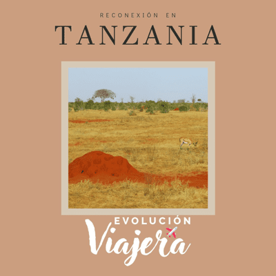 episode Episodio 6. ReConexión en Tanzania artwork