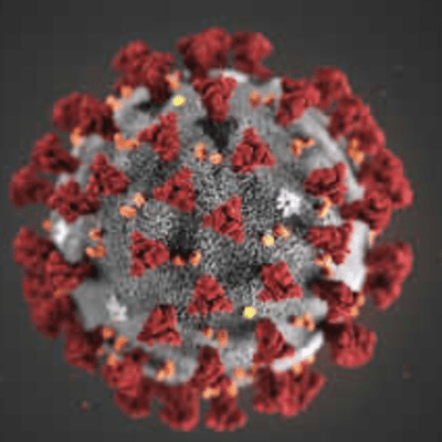 episode Facts and myths about the coronavirus artwork