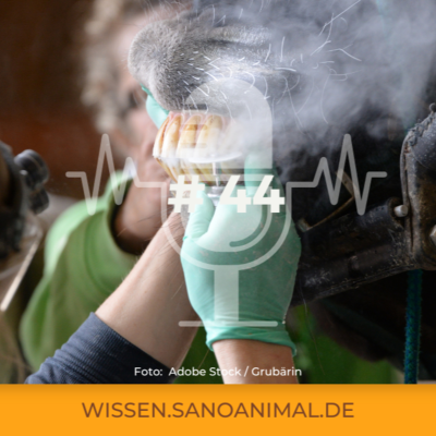 episode Sanoanimal Podcast #44 - Zahnbehandlung mit oder ohne Sedierung artwork