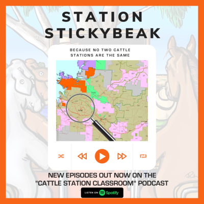episode A [STICKYBEAK] into Lyndon Station artwork