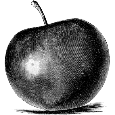 episode Episode 7 - Alan Shapiro - Cider Summit artwork