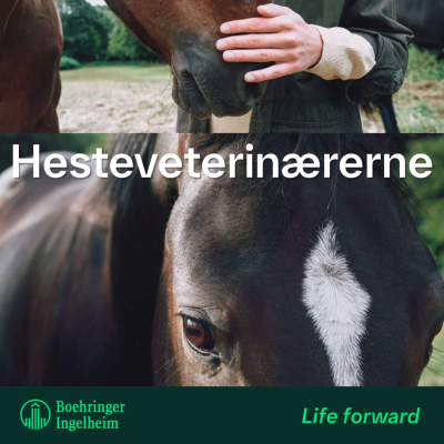 Hesteveterinærene