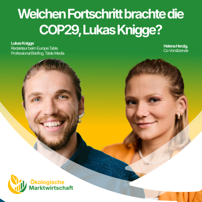 episode Welchen Fortschritt brachte die COP29, Lukas Knigge? artwork