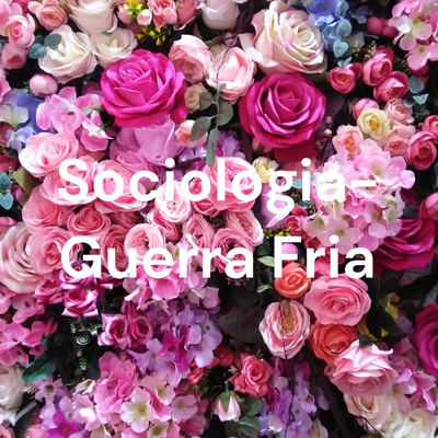 Sociologia- Guerra Fria