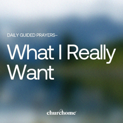 episode What I Really Want artwork