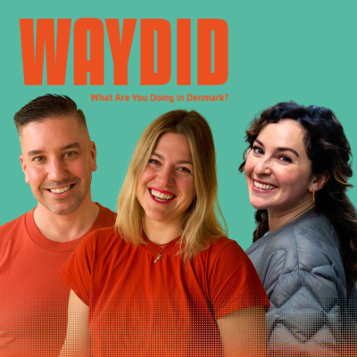 episode 110 | Danish vs. International School in Denmark: A Cultural Conversation About Choice, Language, and Belonging artwork