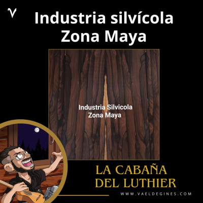 episode Entrevista con Elliot, de Industria Silvícola Zona Maya artwork
