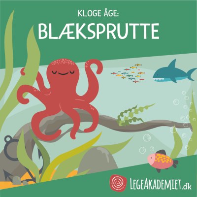 episode Kloge Åge fortæller om: Blæksprutter artwork