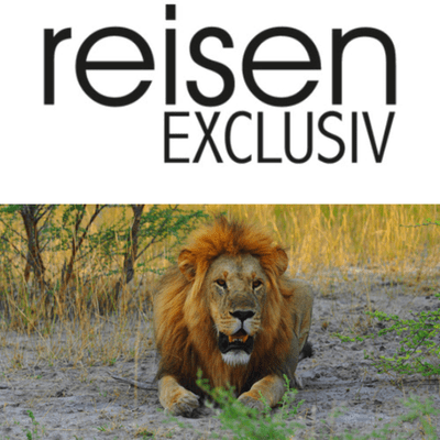 episode Botswana: Revier für Rumtreiber artwork