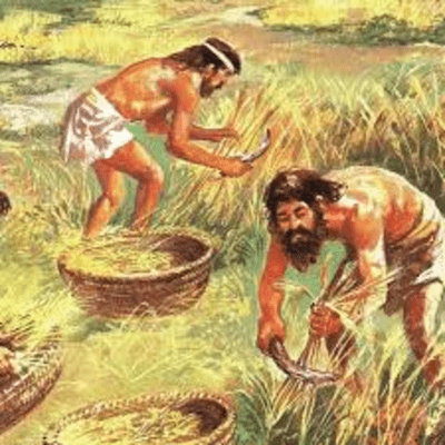 episode Descubrimiento de la agricultura artwork