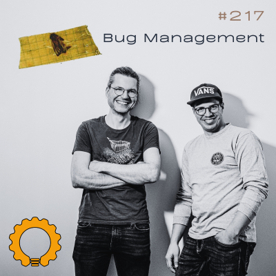 episode #217 Bug Management: Erfassen, Reporten, Klassifizieren, Triagieren artwork