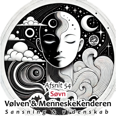episode Søvn artwork