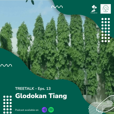 episode EPS.13 - Glodokan Tiang artwork