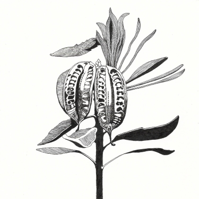 episode Part 1: A Story To Introduce Self-Managed Abortion artwork