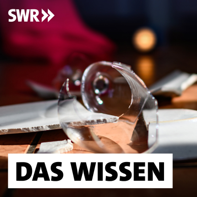 episode Häusliche Gewalt gegen Frauen und Männer – Blinde Flecken in der Forschung artwork
