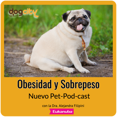 episode Obesidad y Sobrepeso artwork
