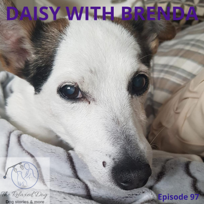 episode E97 Daisy with Brenda artwork