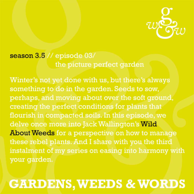 episode S03.5 Episode 3: the picture perfect garden artwork
