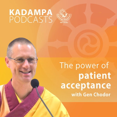 episode The power of patient acceptance artwork