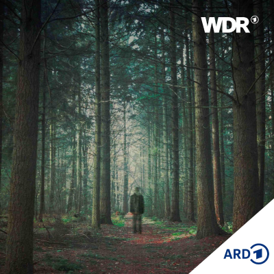 episode Endstation Deutsche Sehnsucht - Spuk im Wald-Labyrinth artwork