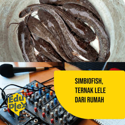 episode Eduplex Interview : Simbiofish, Ternak Lele dari Rumah artwork