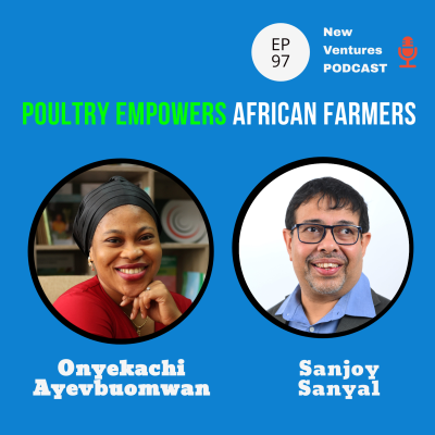 episode # 97 Africa can boost chicken production. artwork