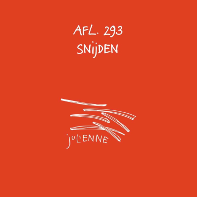 episode #293 - Snijden artwork