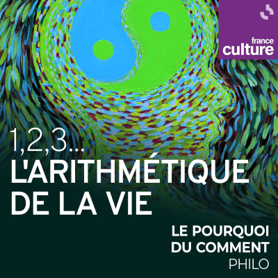 episode 1,2,3... L'arithmétique de la vie 2/3 : Comment peut-on supporter la dualité ? artwork
