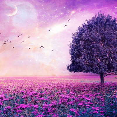 episode Surah Al-Baqarah Sheikh Mishary Rashid Alafasy ᴴᴰ Sura El- Bekara artwork