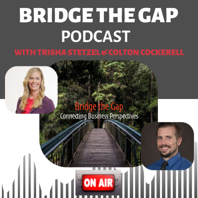 Bridge the Gap Podcast Connecting Business Perspectives