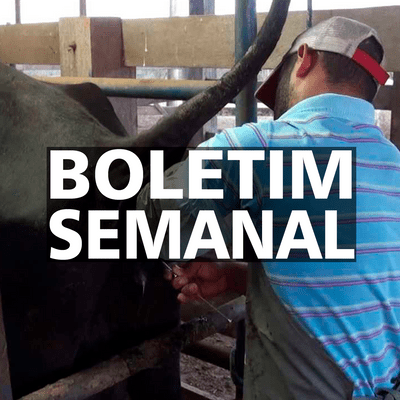 episode BOLETIM SEMANAL: Consumo de lácteos / Exportações do agro / Plantio e preço da
soja / Inseminação artificial / Febre aftosa / Vagas no Senar artwork