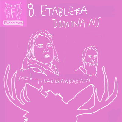 episode 8. Etablera dominans artwork