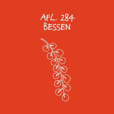 episode #284 - Bessen artwork