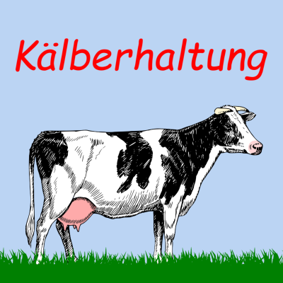 episode Kälberhaltung | Audio | Kuhles zum Kauen artwork