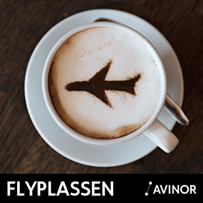 Flyplassen