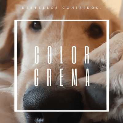episode Color crema. artwork