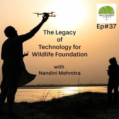 episode The Legacy of Technology for Wildlife Foundation: Ep #37 artwork