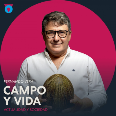 episode CAMPO Y VIDA T13C081 Comienza la campaña de la pera y de la almendra temprana (28/06/2025) artwork