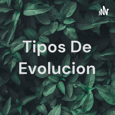 Tipos De Evolucion