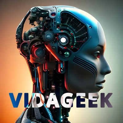 VidaGeek