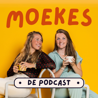 episode S2A27 Een tweede kindje: wanneer ga je ervoor? Afwegingen & tips artwork