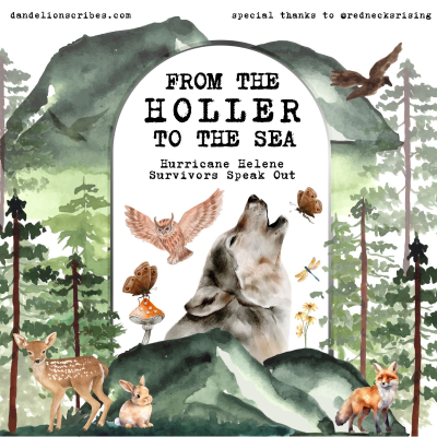 episode (Ep 37) From the Holler to the Sea: Interview w/ Cheyanne (TN) artwork