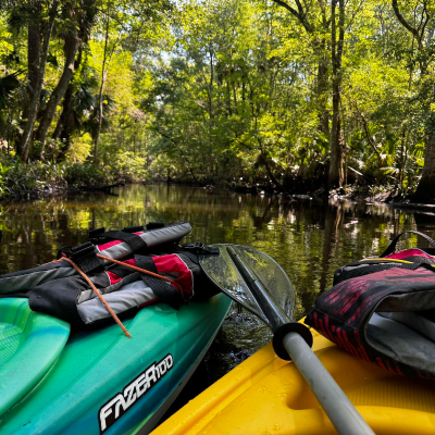 episode Episode 184: Marineland, Gators, and Top Three Places to Kayak near St. Johns artwork