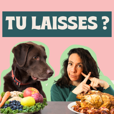 episode Le refus d'appât le plus utile dans l'éducation canine ! artwork