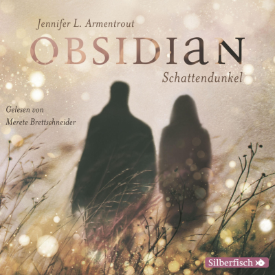 Obsidian 1: Obsidian