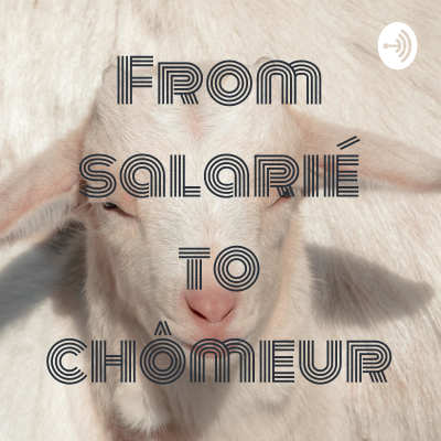 From salarié to chômeur