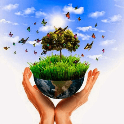 episode Asumimos acciones para preservar la salud y el medio ambiente artwork